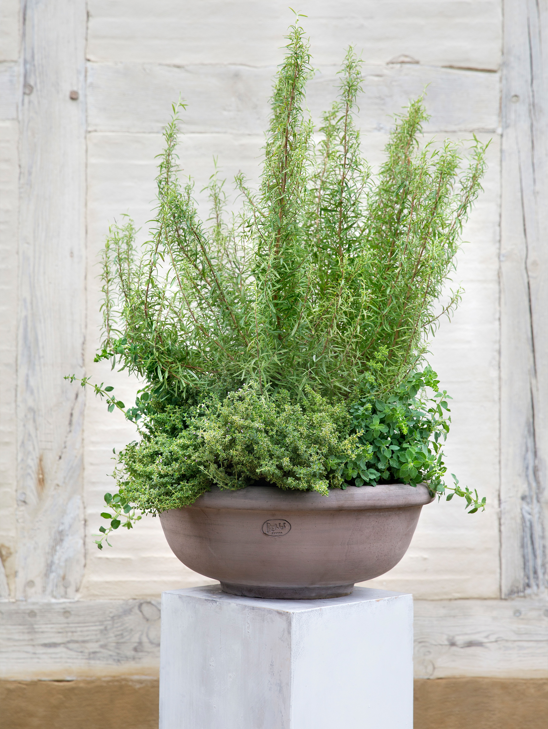 Erbe Pflanztopf Raw Grau Ø 45 cm, Bowl Erbe Pflanztopf Raw Grau Ø 45 cm, Bowl