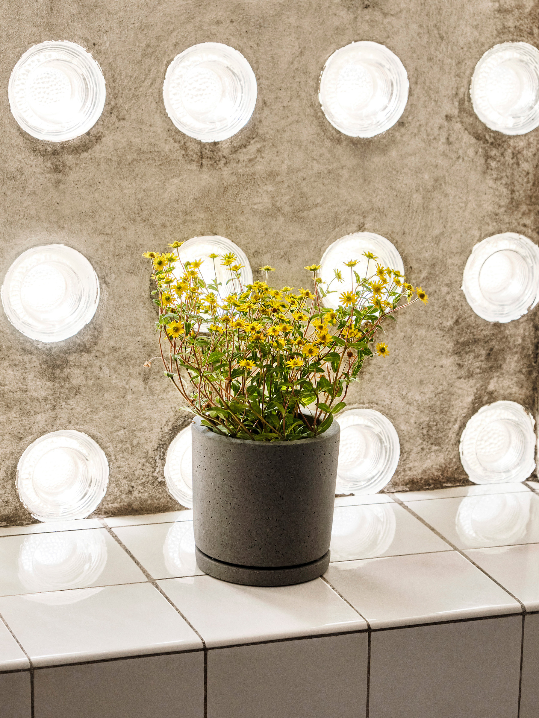 Blumentopf mit Untersetzer  Medium Grey