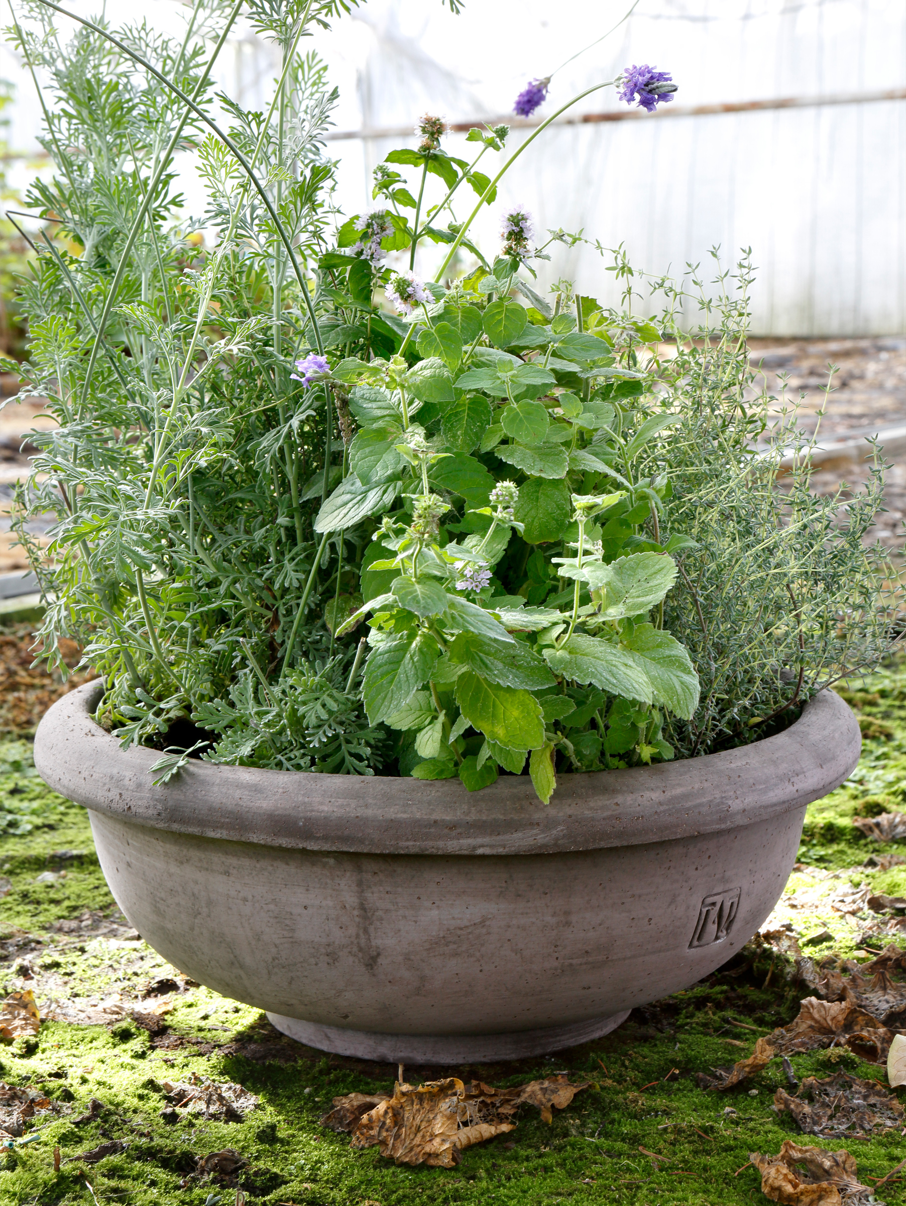 Erbe Pflanztopf Raw Grau Ø 45 cm, Bowl Erbe Pflanztopf Raw Grau Ø 45 cm, Bowl